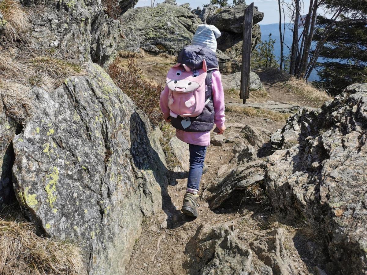 Altes Forsthaus Bodenmais