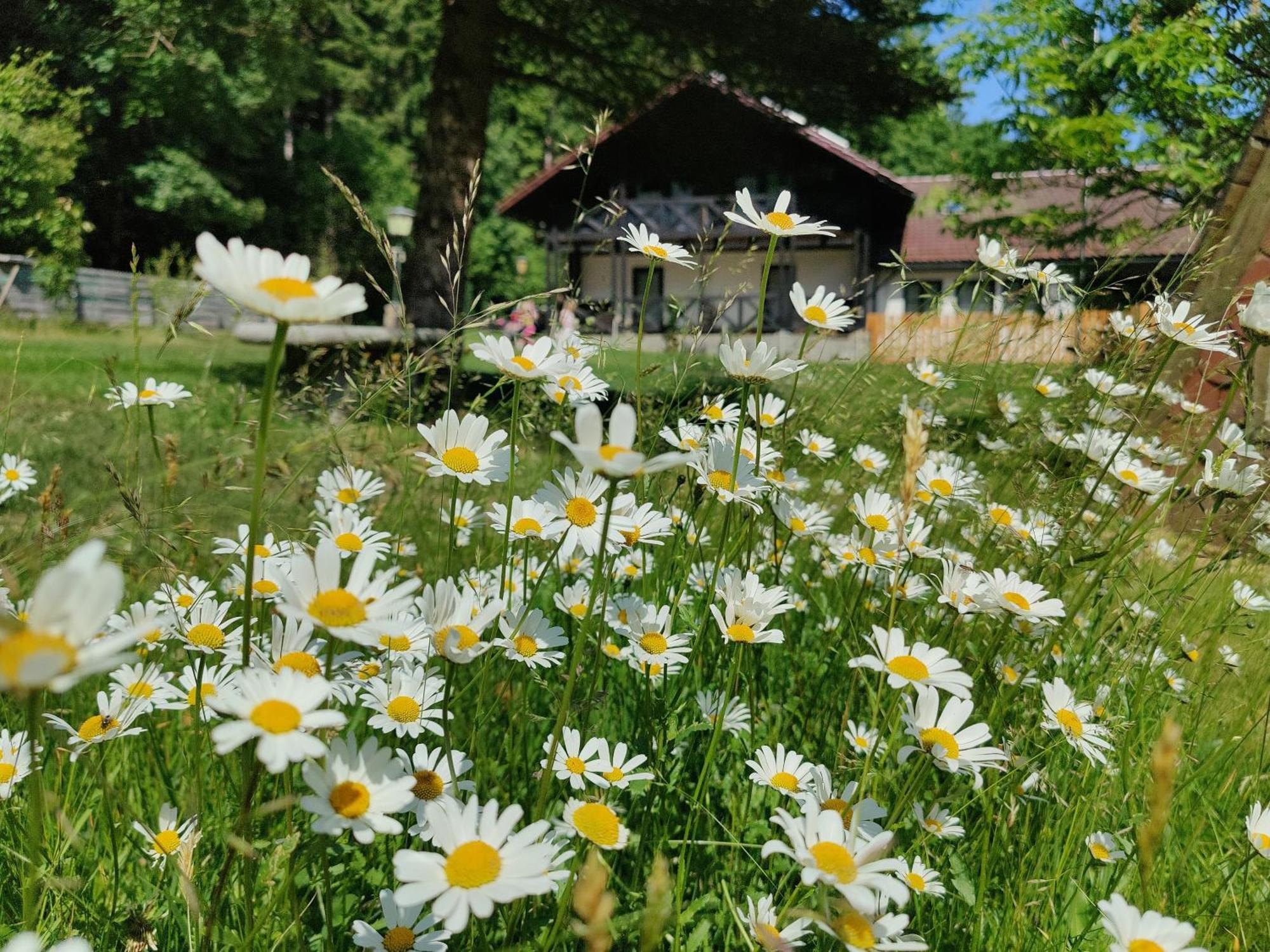 Altes Forsthaus